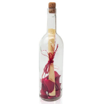 Brief in einer Flasche