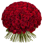 101 Rose Blumenstrauß