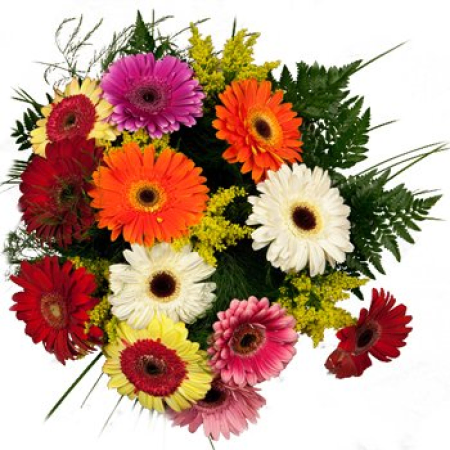 Gerbera Explosion Bouquet
