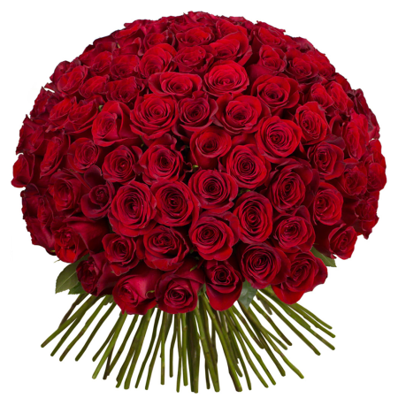 101 Rose Blumenstrauß