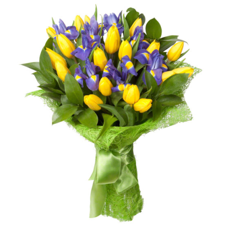 Royal Tulip