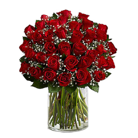 Über der Spitze Beauty