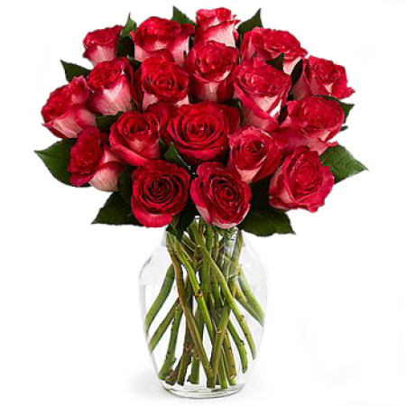 Pristine Leidenschaft