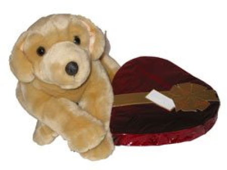 Kuscheltier und Pralinen